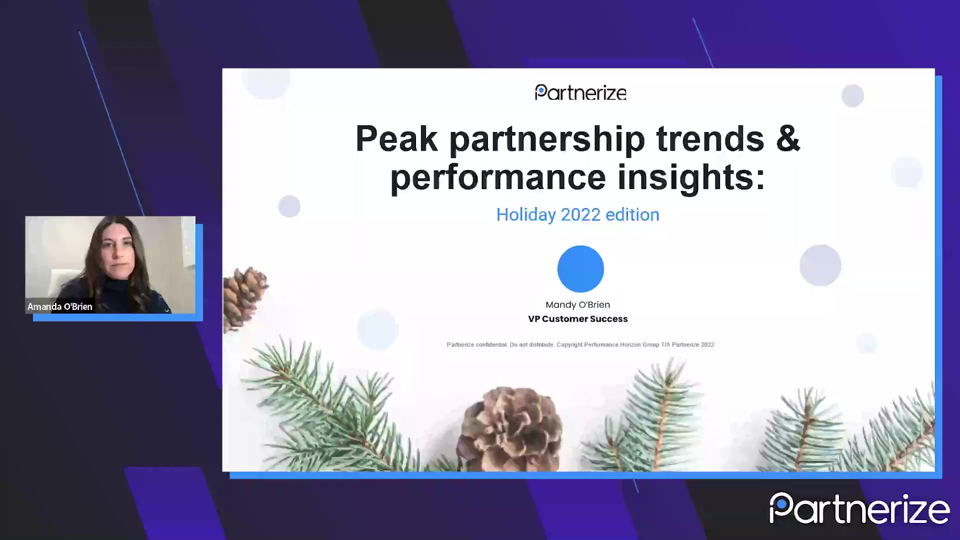 Peak Partnership Trends & Performance Insights Holiday 2022 Edition